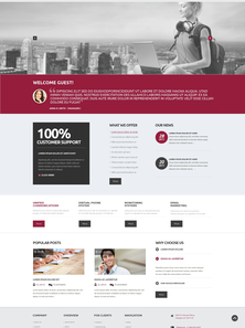 WordPress - WP2424