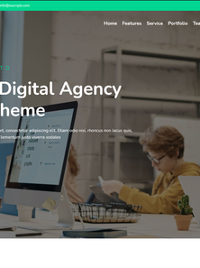 WordPress - WP17424